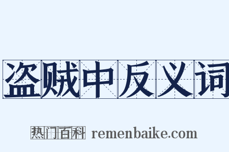 盗贼中反义词是什么意思的图片